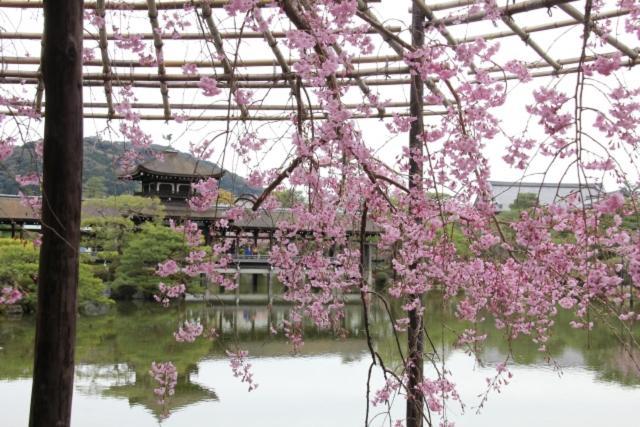 Rejoice Stay Kyoto Nijo Gekko Eksteriør bilde
